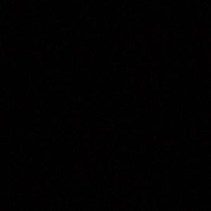 Meet your Posher, Lynn